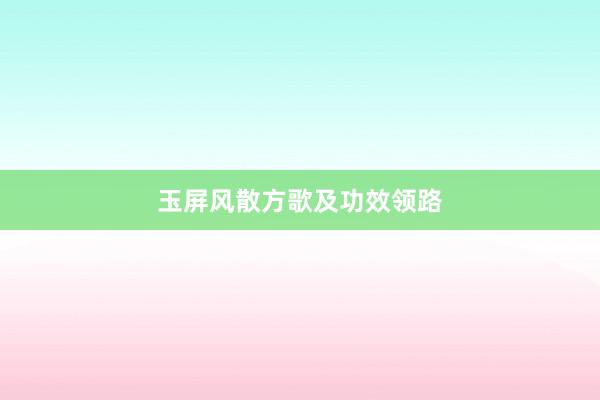 玉屏风散方歌及功效领路